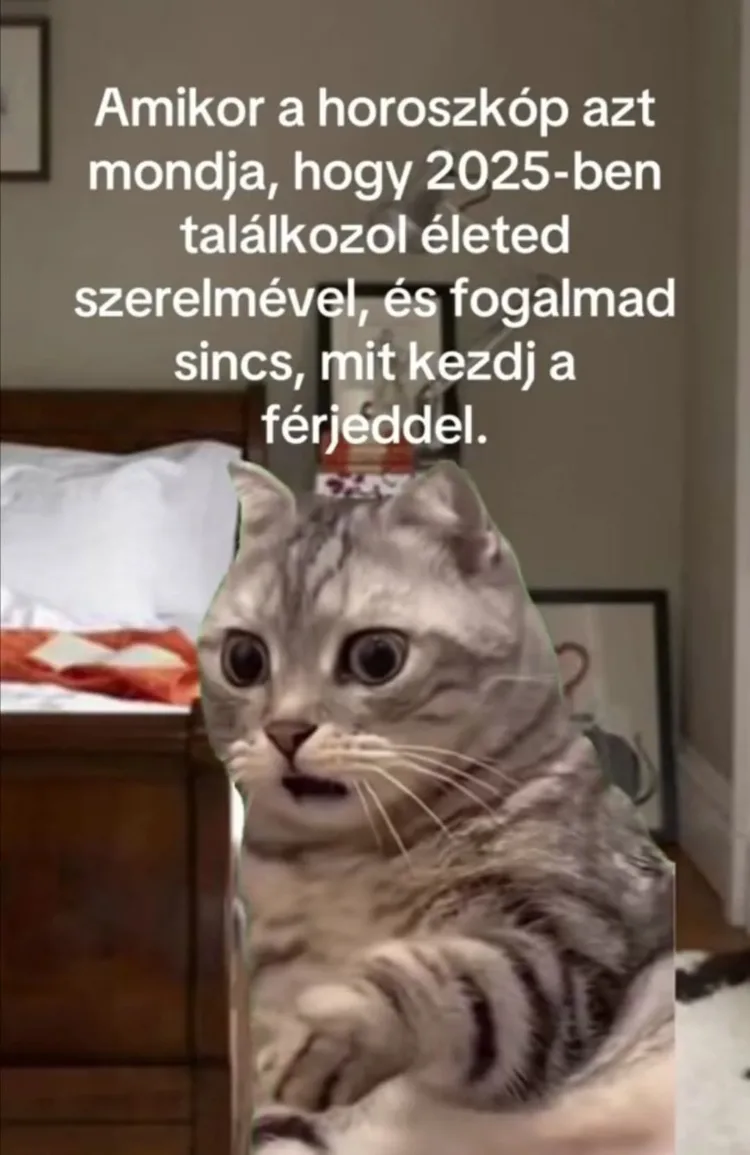 #VK1755237650 #VK1755237650