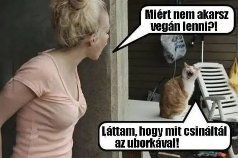 #VK1755257406
