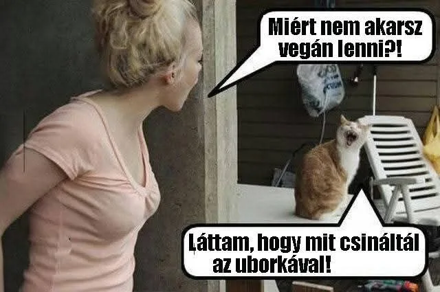 #VK1755257406 #VK1755257406