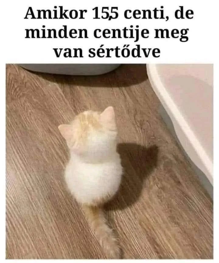 #VK1755273657 #VK1755273657