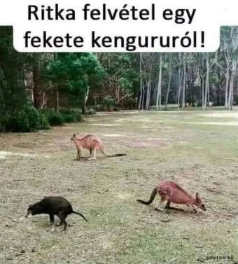 #VK1755324007