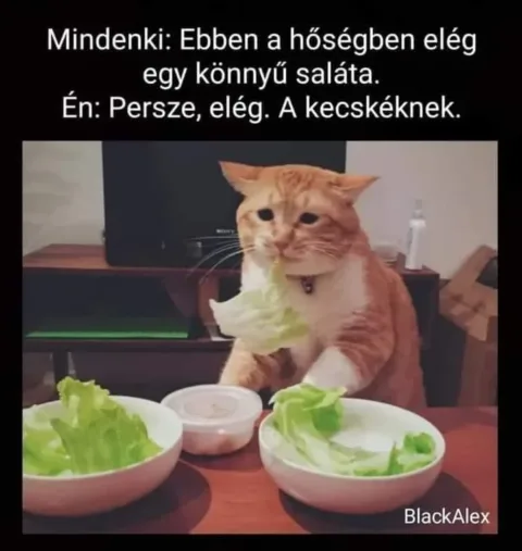 #VK1755331240
