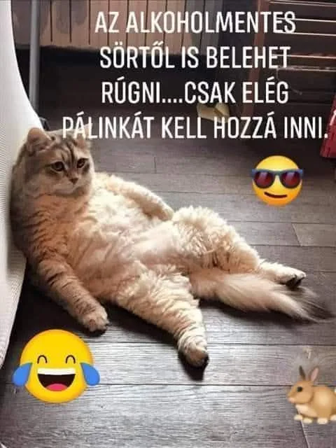 #VK1755439250 #VK1755439250