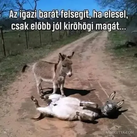 #VK1755457247