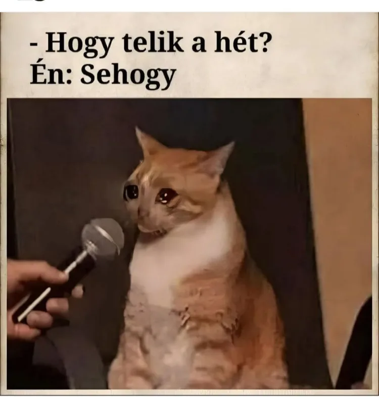 #VK1755590416 #VK1755590416