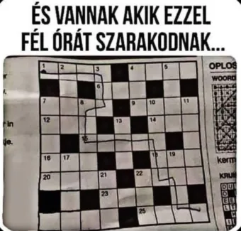 #VK1755595127