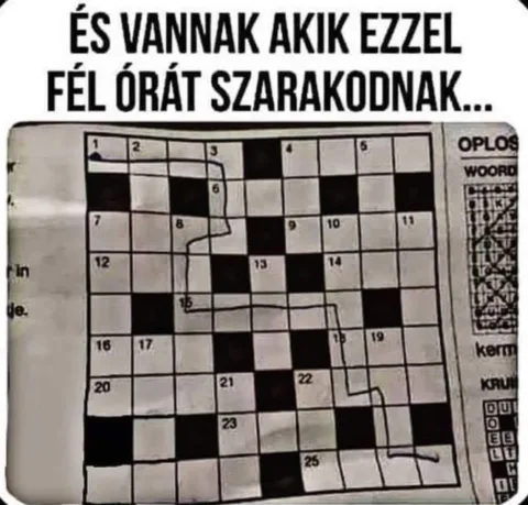 #VK1755595127