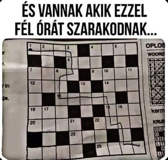 #VK1755595127