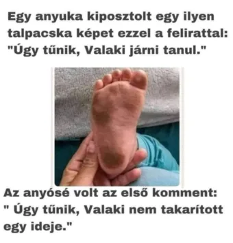 #VK1755603008
