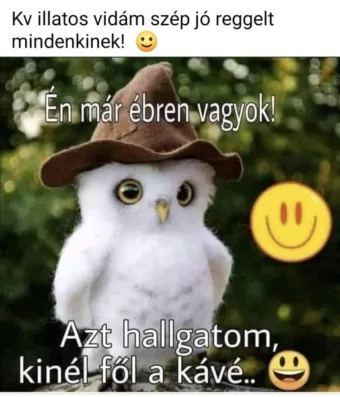 #VK1755669609