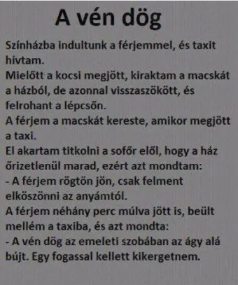 #VK1755705660