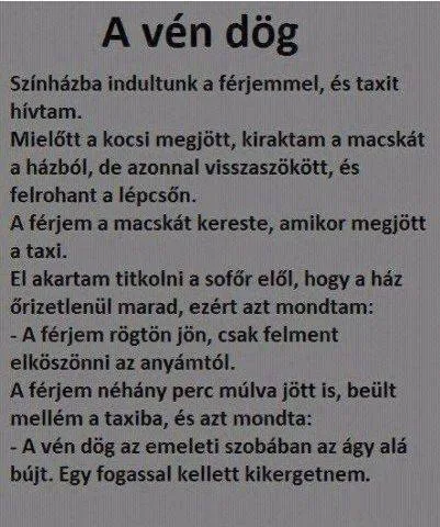 #VK1755705660