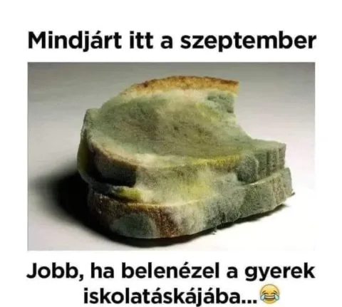 #VK1755784888