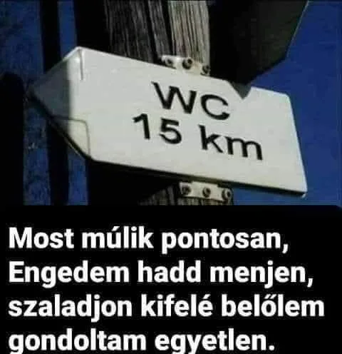 #VK1755799216
