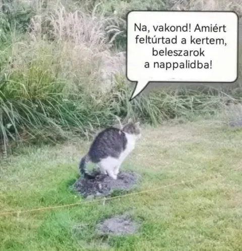 #VK1755849659