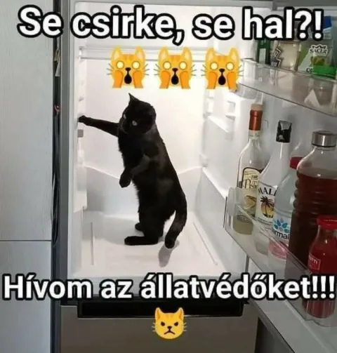 #VK1756051236