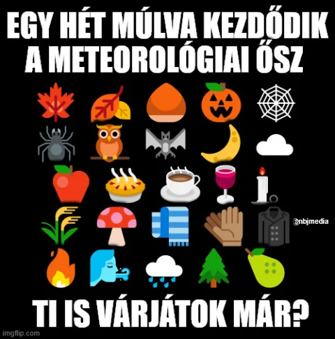 #VK1756068784