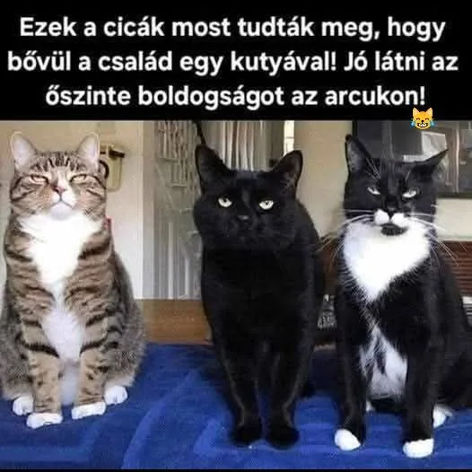 #VK1756122468 #VK1756122468