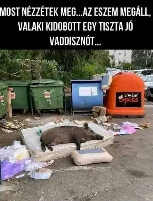 #VK1756150206