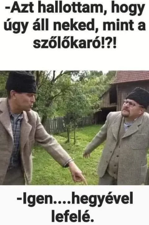 #VK1756231235