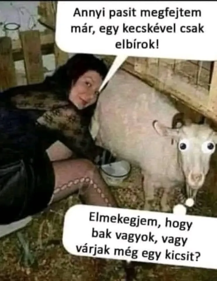 #VK1756405724 #VK1756405724