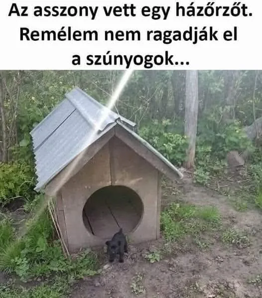 #VK1756407683 #VK1756407683
