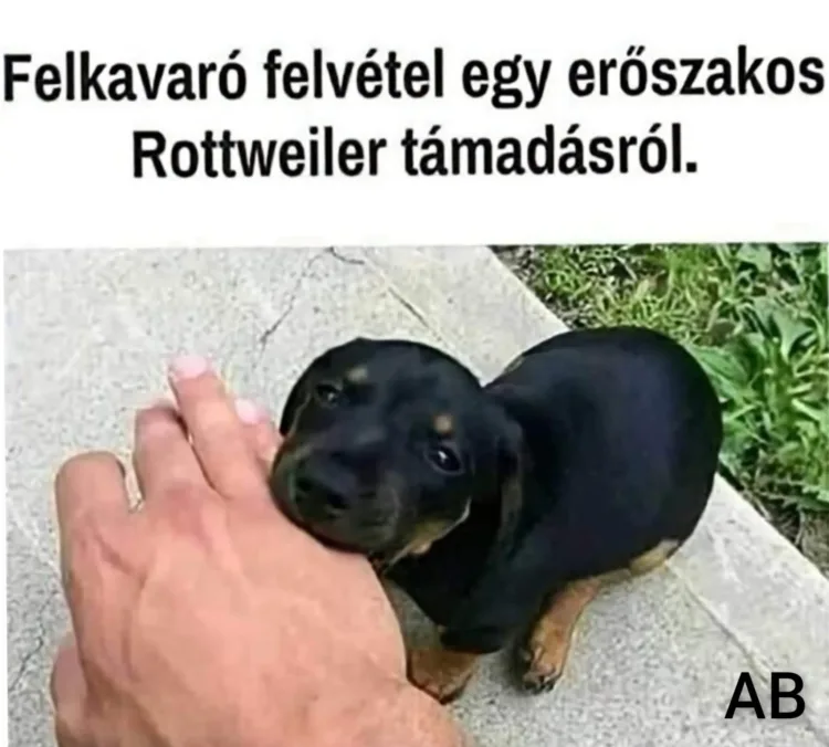 #VK1756469904