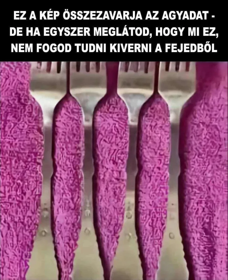 #VK1756593818