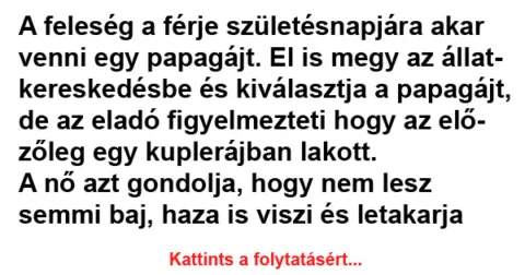 Vicc: A feleség a férje születésnapjára