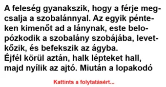 Vicc: A feleség gyanakszik, hogy a férje megcsalja a szobalánnyal