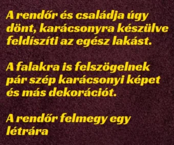 Vicc: A rendőr karácsonyra készülve feldíszíti az egész lakást –