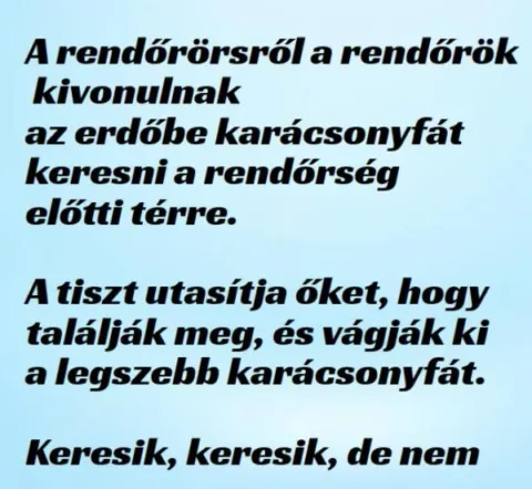 Vicc: A rendőrök kivonulnak az erdőbe karácsonyfát keresni –