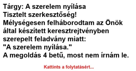 Vicc: A szerelem nyílása