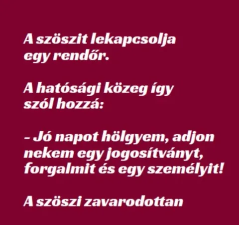 Vicc: A szöszit lekapcsolja egy rendőr - Vicc: A szöszit lekapcsolja egy rendőr –