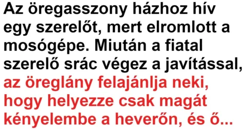 Vicc: Az öreglány leülteti a szerelő srácot a heverőre