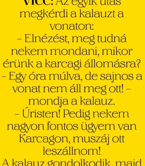 Vicc: Az utasok beszélgetnek a vonaton