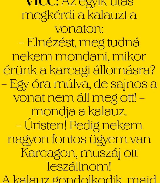 Vicc: Az utasok beszélgetnek a vonaton Vicc: Az utasok beszélgetnek a vonaton