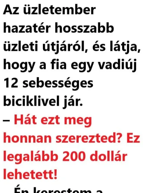 Vicc: Az üzletember hazatér hosszabb üzleti útjáról