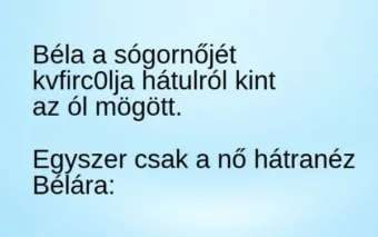 Vicc: Béla a sógornőjét az ól mögött