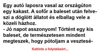 Vicc: Egy autó laposra vasal az országúton egy kakast