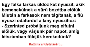 Vicc: Egy falka farkas üldöz két nyuszit