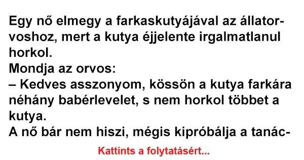 Vicc: Egy nő elmegy a farkaskutyájával az állatorvoshoz Vicc: Egy nő elmegy a farkaskutyájával az állatorvoshoz