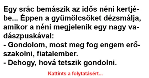 Vicc: Egy srác bemászik az idős néni kertjébe