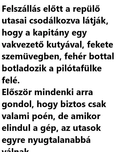 Vicc: Felszállás előtt a repülő utasai csodálkozva látják, hogy a kapitány egy…
