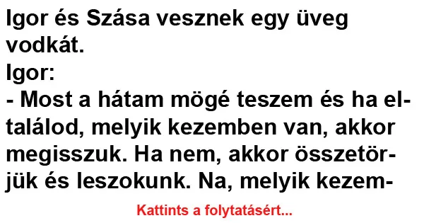 Vicc: Igor és Szása vesznek egy üveg… Vicc: Igor és Szása vesznek egy üveg…