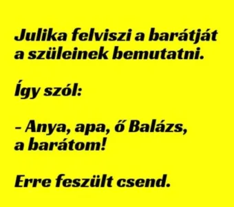 Vicc: Julika felviszi a barátját a szüleinek bemutatni…..