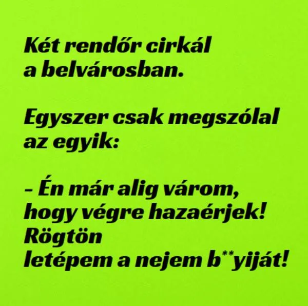 Vicc: Két rendőr cirkál a belvárosban - Vicc: Két rendőr cirkál a belvárosban –