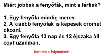 Vicc: Miért jobbak a fenyőfák, mint a férfiak?