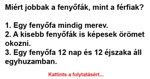 Vicc: Miért jobbak a fenyőfák, mint a férfiak?