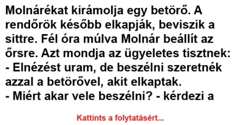 Vicc: Molnárékat kirámolja egy betörő